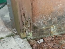 Rotten garage door trim due to lack of gutters
